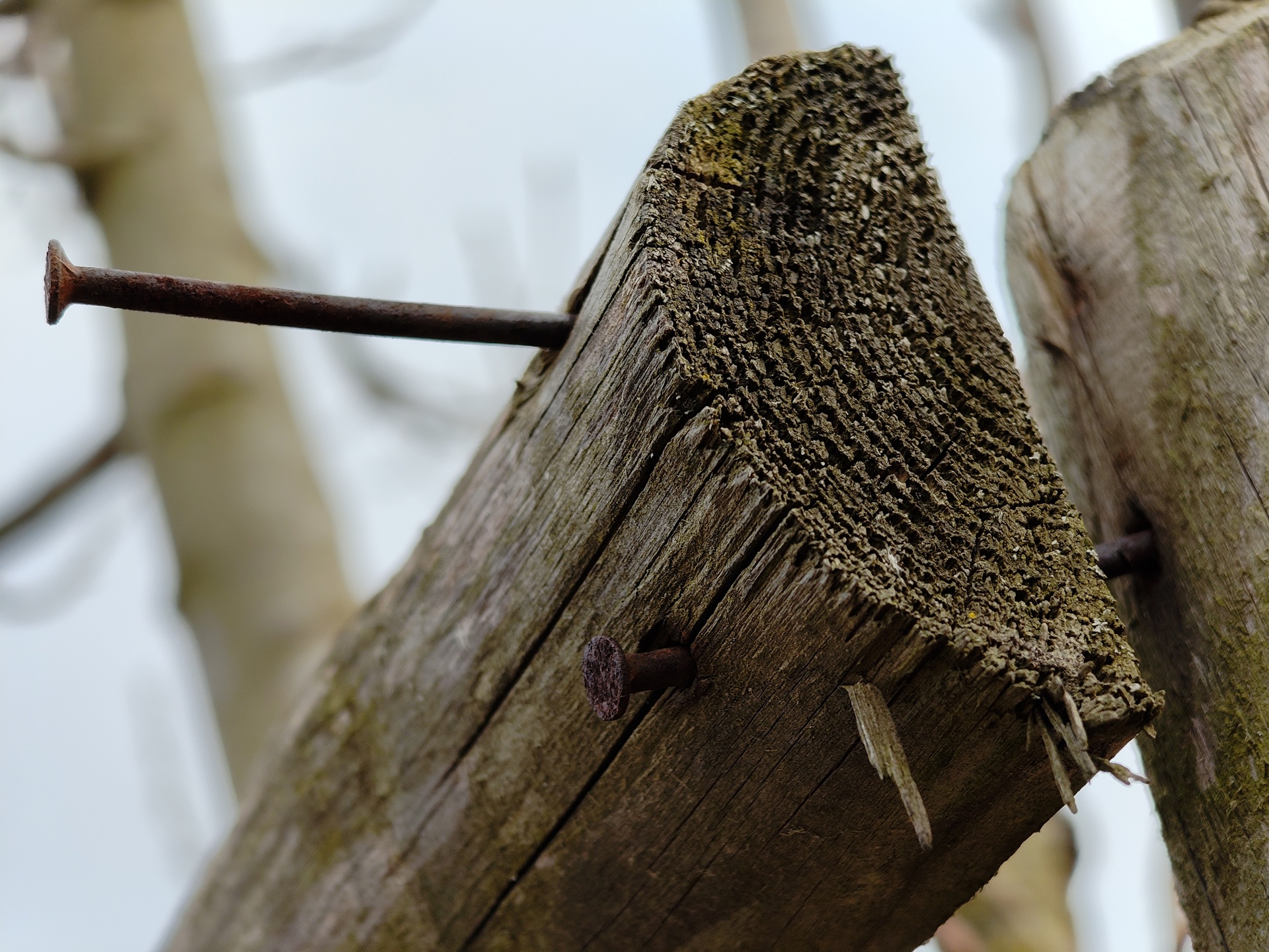 Nothing Phone (3a) Pro