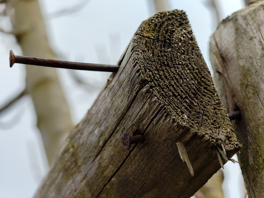 Nothing Phone (3a) Pro