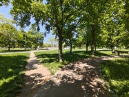 Nothing Phone (3a) Pro