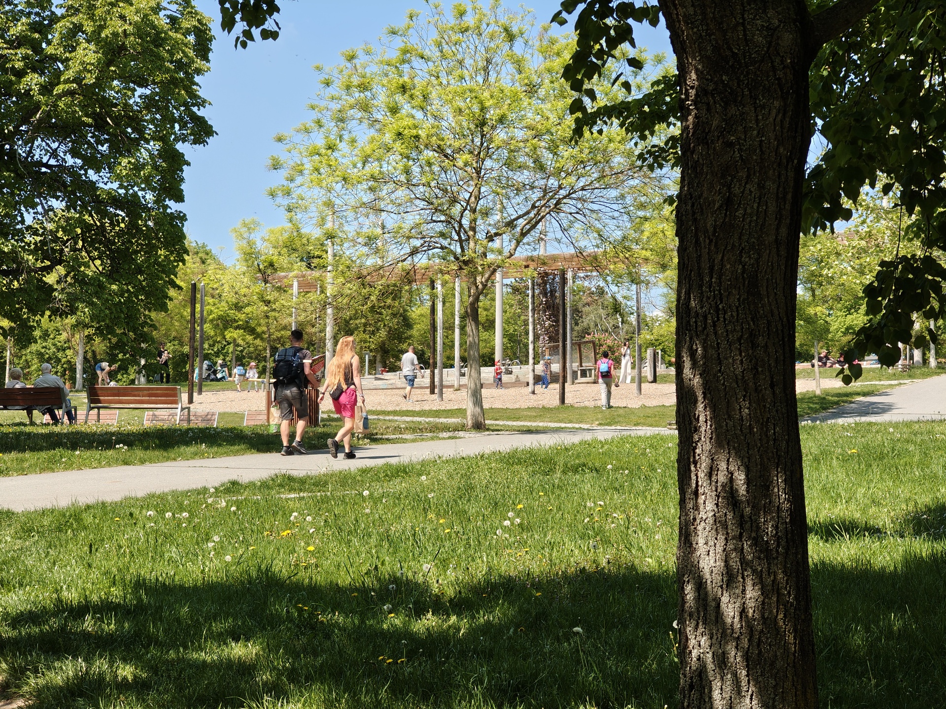 Nothing Phone (3a) Pro