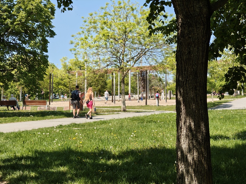 Nothing Phone (3a) Pro