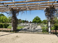 Nothing Phone (3a) Pro