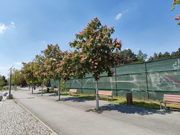 Nothing Phone (3a) Pro