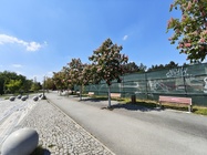 Nothing Phone (3a) Pro