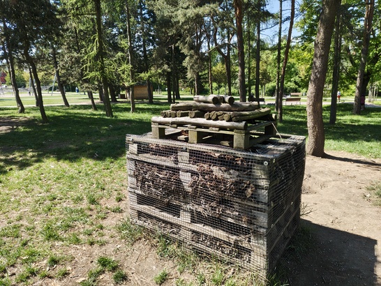 Nothing Phone (3a) Pro