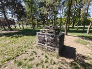 Nothing Phone (3a) Pro