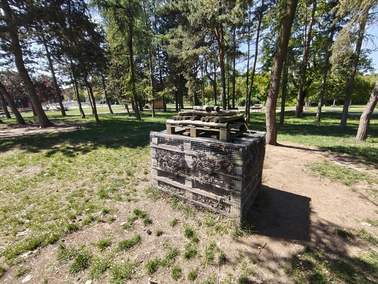 Nothing Phone (3a) Pro