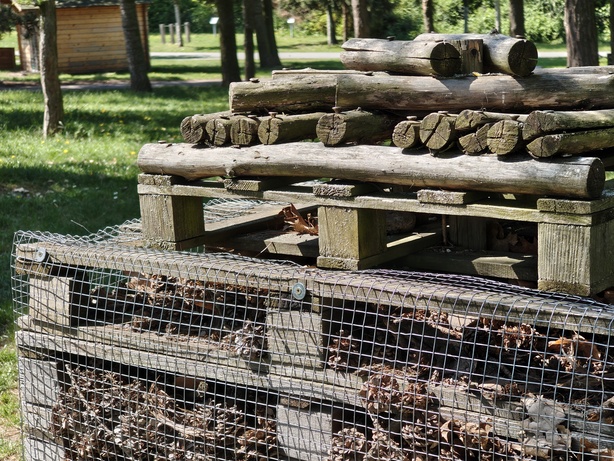 Nothing Phone (3a) Pro