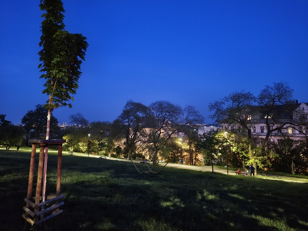 Nothing Phone (3a) Pro