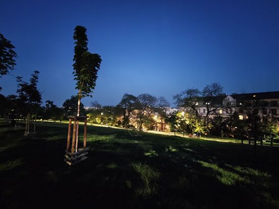 Nothing Phone (3a) Pro