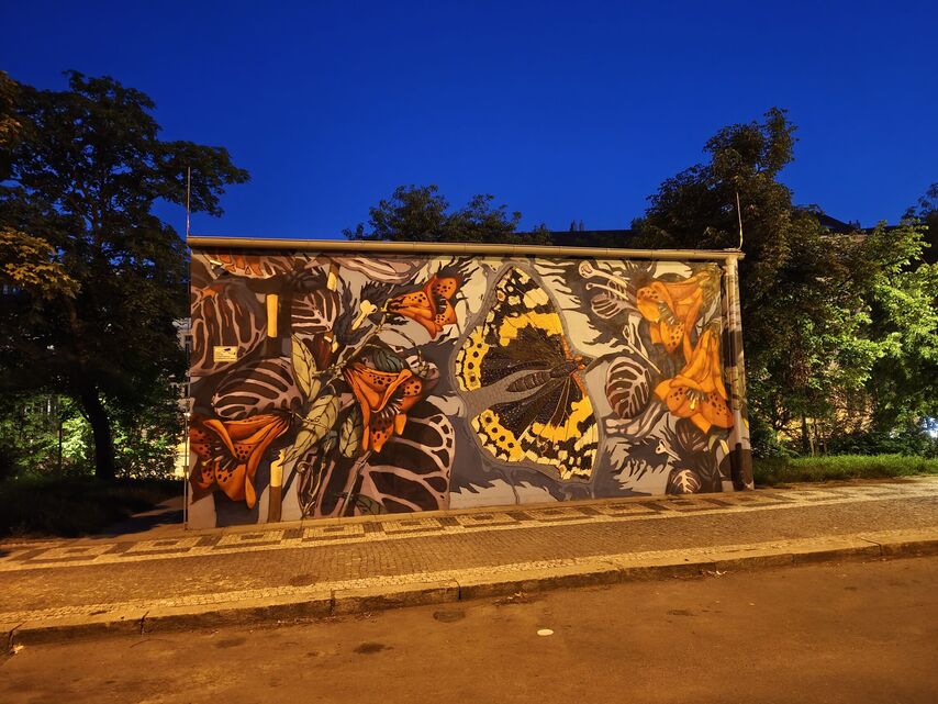 Nothing Phone (3a) Pro