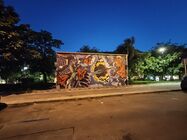 Nothing Phone (3a) Pro