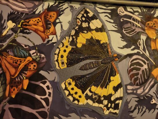 Nothing Phone (3a) Pro