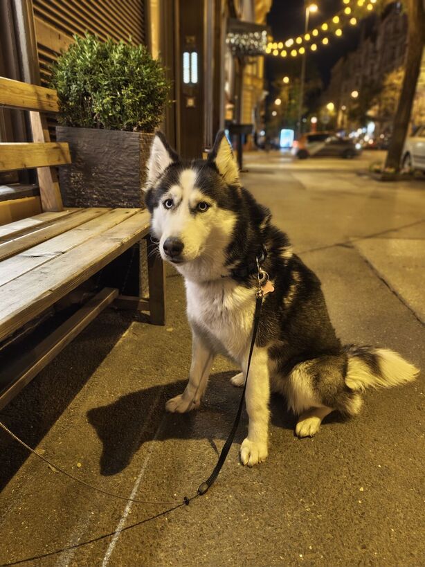 Nothing Phone (3a) Pro