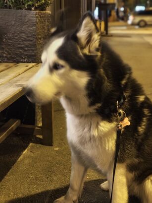 Nothing Phone (3a) Pro