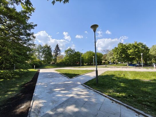 Nothing Phone (3a) Pro