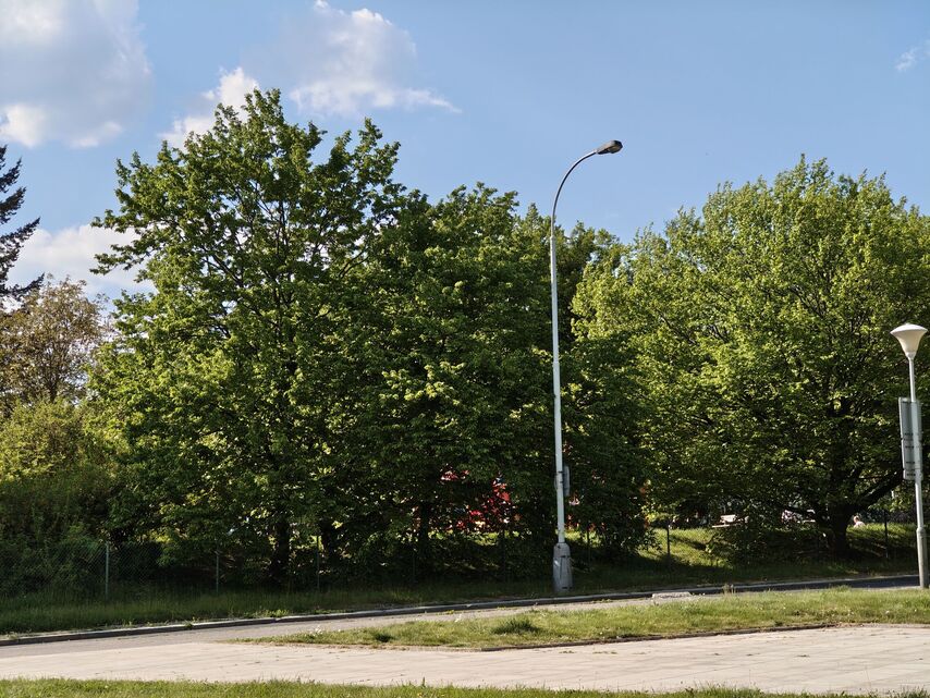 Nothing Phone (3a) Pro