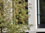 Nothing Phone (3a) Pro