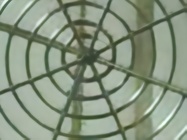 Nothing Phone (4a) Pro