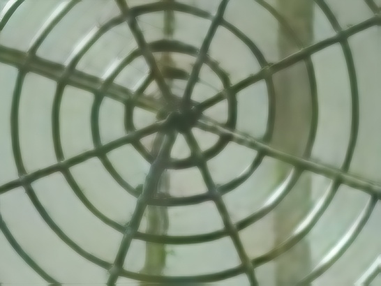 Nothing Phone (4a) Pro