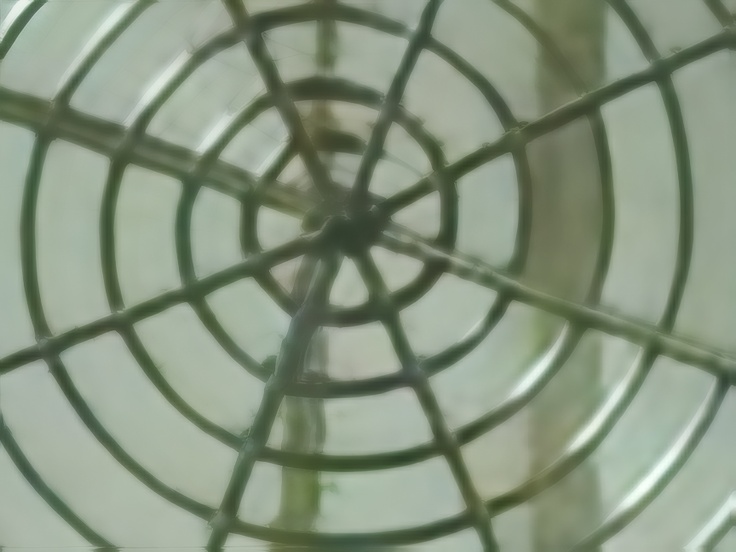 Nothing Phone (4a) Pro