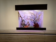 Nothing Phone (4a) Pro