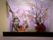 Nothing Phone (4a) Pro