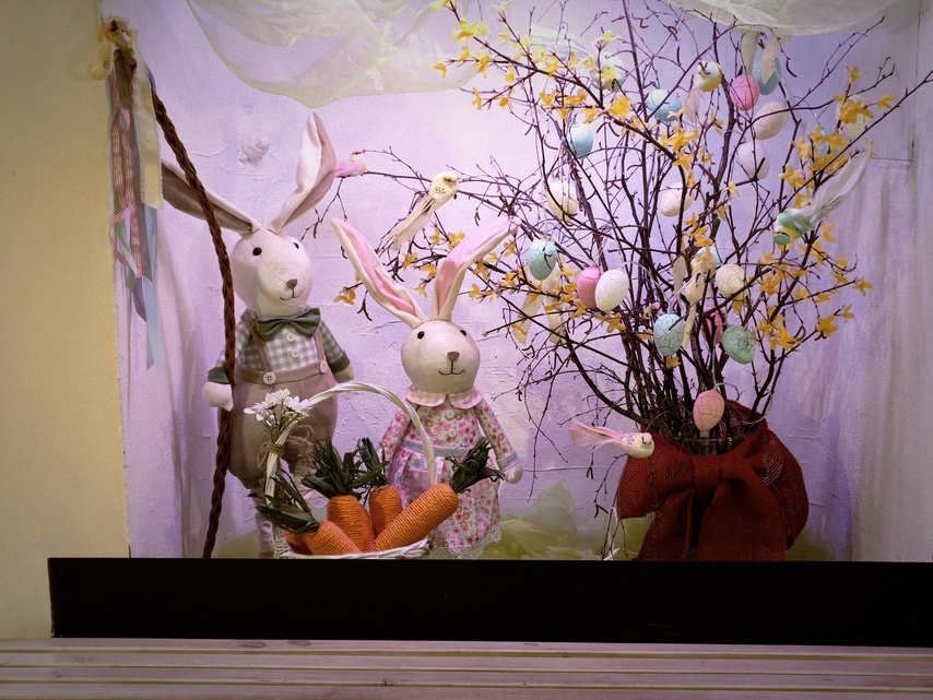 Nothing Phone (4a) Pro