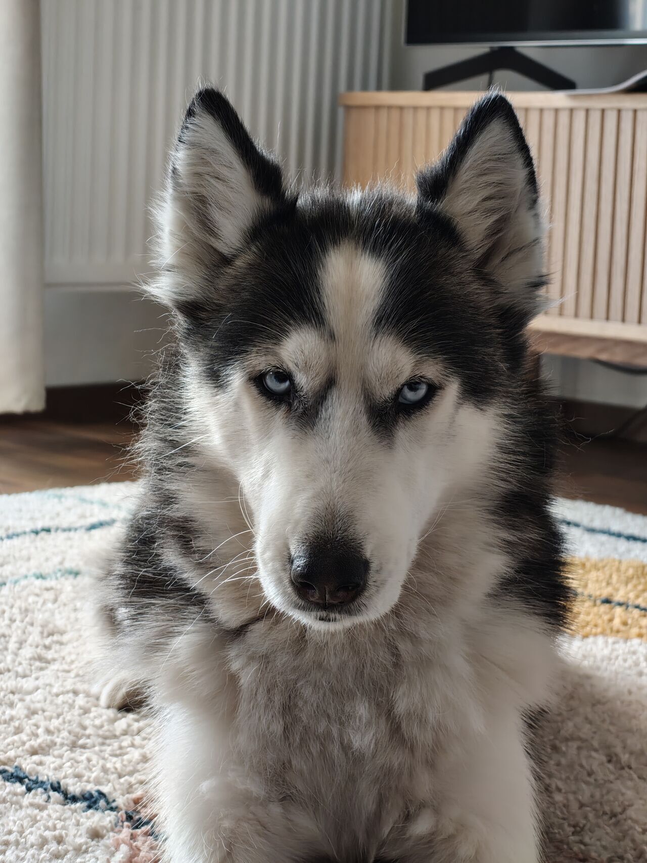 Nothing Phone (4a) Pro