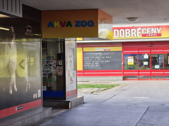 Nothing Phone (4a) Pro