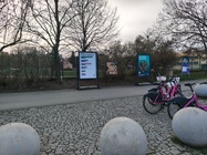 Nothing Phone (4a) Pro