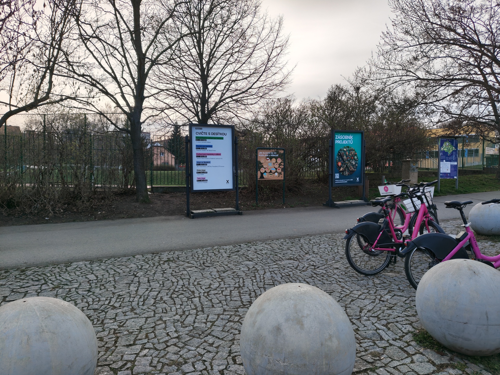 Nothing Phone (4a) Pro