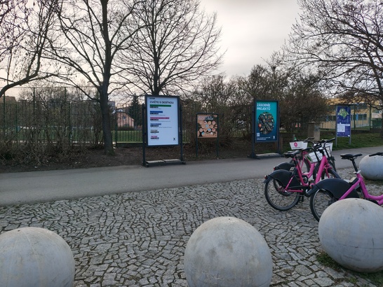 Nothing Phone (4a) Pro