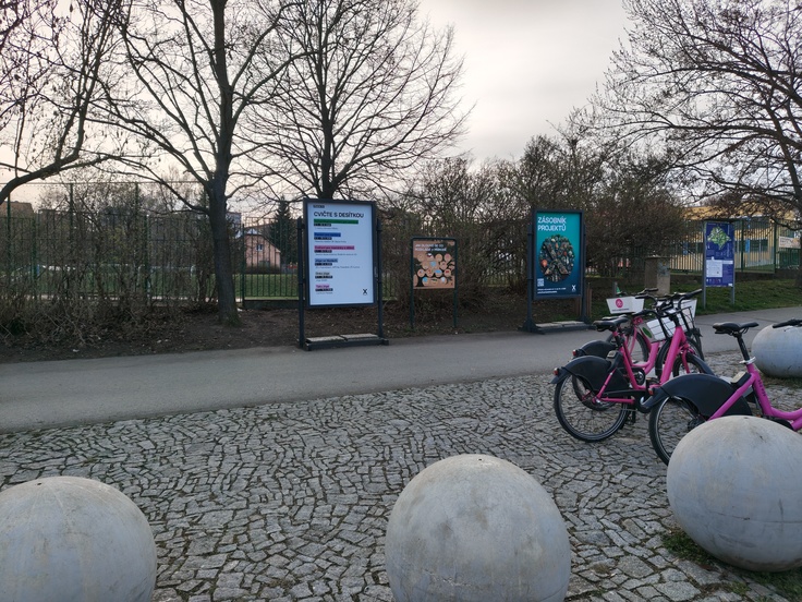 Nothing Phone (4a) Pro