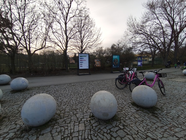 Nothing Phone (4a) Pro