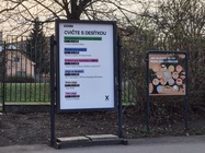 Nothing Phone (4a) Pro