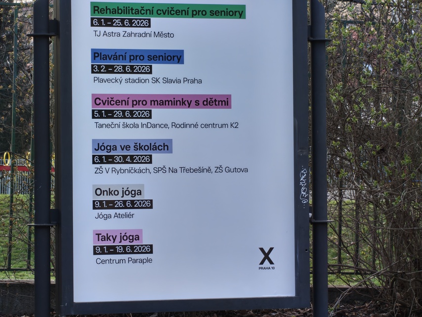 Nothing Phone (4a) Pro