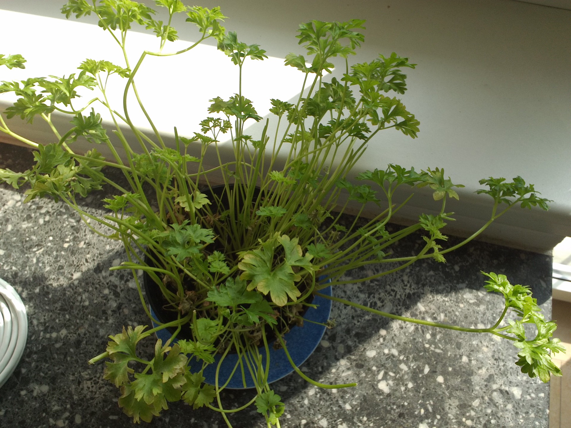 NVIDIA SHIELD Tablet