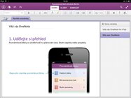 OneNote