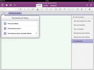 OneNote