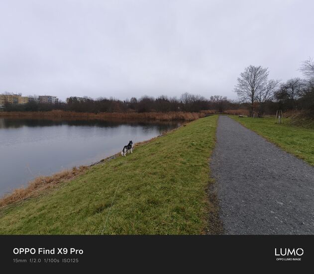 Oppo Find X9 Pro
