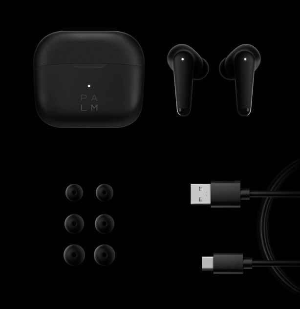Palm Buds Pro