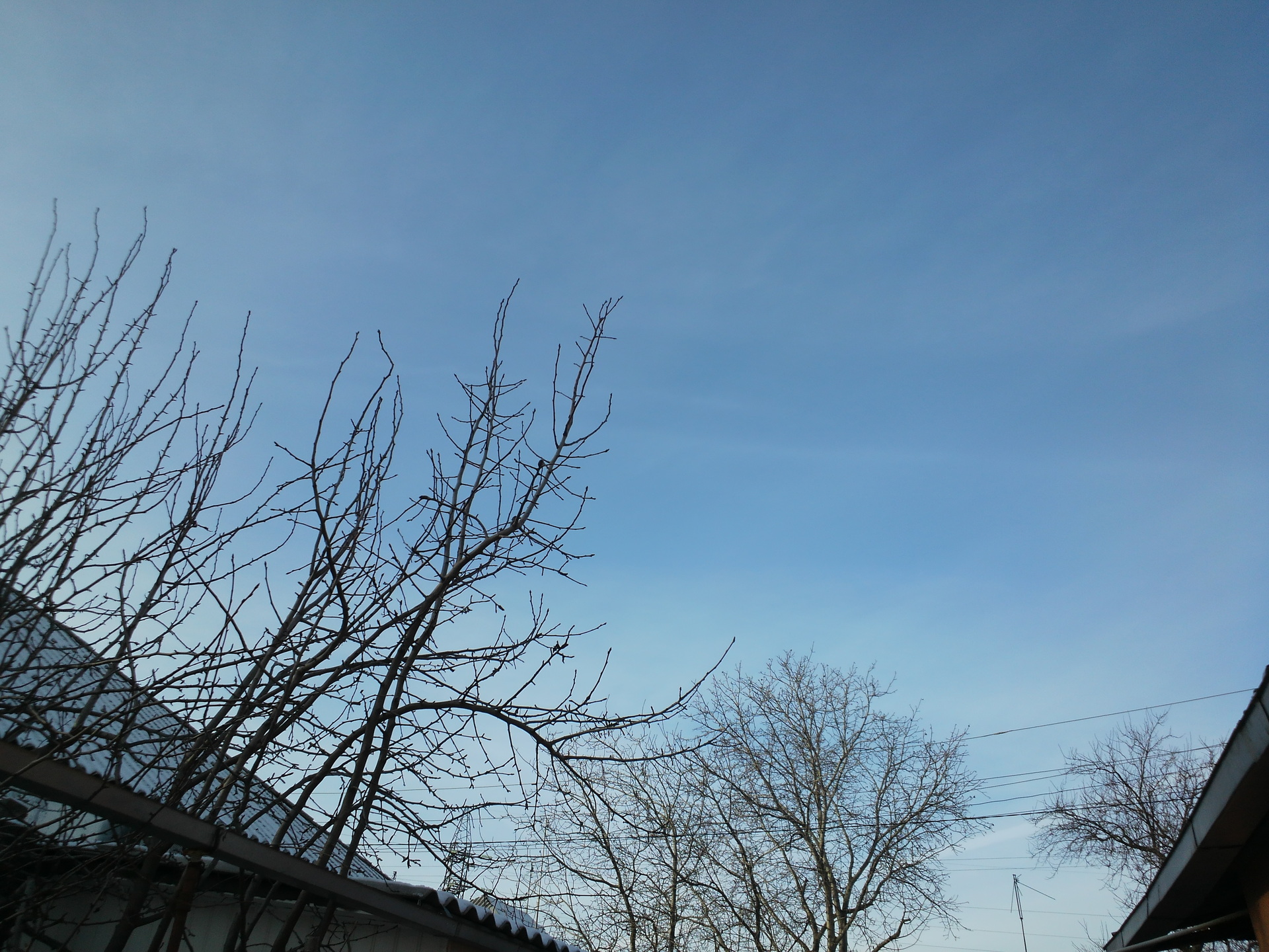 Panasonic Lumix phone