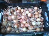 Panasonic Toughpad FZ-E1