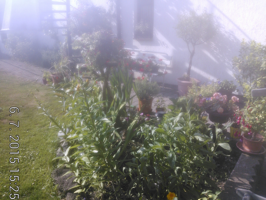 Panasonic Toughpad FZ-X1