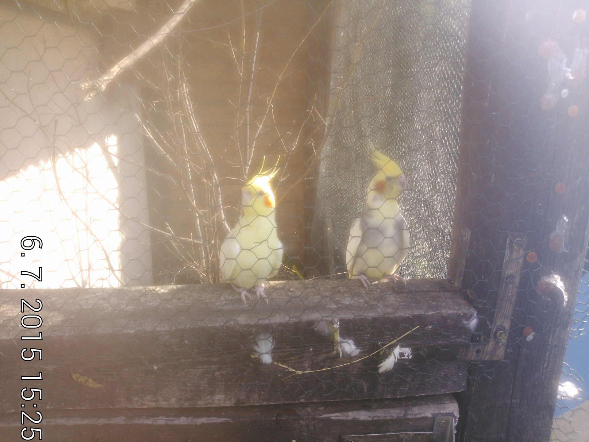 Panasonic Toughpad FZ-X1