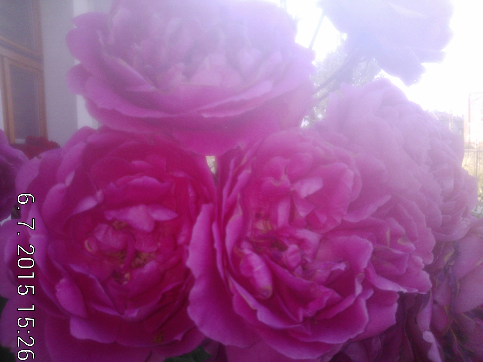 Panasonic Toughpad FZ-X1