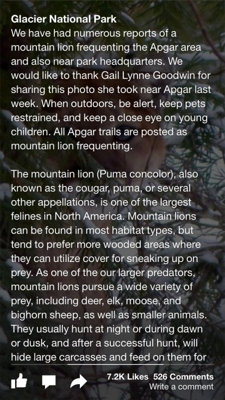 Paper - stories from Facebook