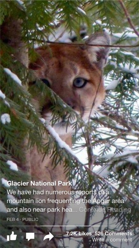 Paper - stories from Facebook