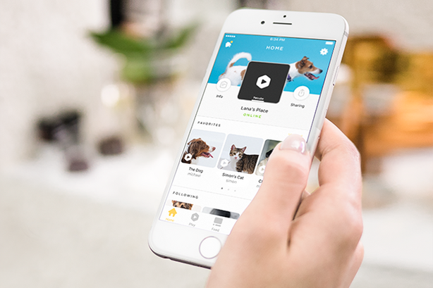 Petcube App